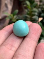 33.60-Carat Afghan Turquoise: A Majestic Gem of Color and Craftsmanship - Image 3