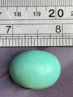 33.60-Carat Afghan Turquoise: A Majestic Gem of Color and Craftsmanship - Image 8