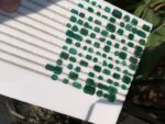 101 Carat Swat Emerald Faceted Lot – Natural Green Gemstones (12.87 × 8.50 × 4.55 mm) - Image 6