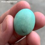 41ct Afghan Turquoise Cabochon: A Majestic Gem of Natural Splendor