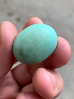 41ct Afghan Turquoise Cabochon: A Majestic Gem of Natural Splendor - Image 2