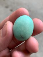 41ct Afghan Turquoise Cabochon: A Majestic Gem of Natural Splendor - Image 3