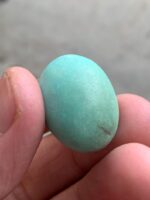 41ct Afghan Turquoise Cabochon: A Majestic Gem of Natural Splendor - Image 4