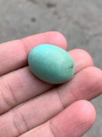 41ct Afghan Turquoise Cabochon: A Majestic Gem of Natural Splendor - Image 5