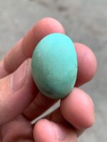 41ct Afghan Turquoise Cabochon: A Majestic Gem of Natural Splendor - Image 9