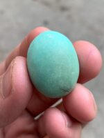 41ct Afghan Turquoise Cabochon: A Majestic Gem of Natural Splendor - Image 10