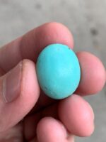 17.80ct Afghan Turquoise Cabochon: A Stone Shaped by Nature and Crafted for Art - Image 11