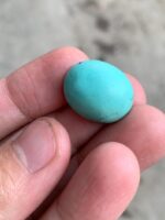 17.80ct Afghan Turquoise Cabochon: A Stone Shaped by Nature and Crafted for Art - Image 3