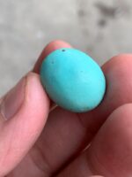 17.80ct Afghan Turquoise Cabochon: A Stone Shaped by Nature and Crafted for Art - Image 5