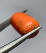 Natural Coral Gemstone: 14.90ct Red Coral, Unique Dimensions - Image 5