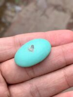 31.37-Carat Afghan Turquoise: A Monumental Gem of Grace and Heritage - Image 5
