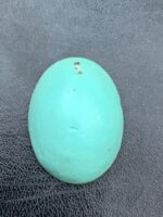 The Timeless Charm of a 42.07 ct Afghan Turquoise - Image 2