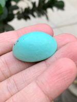 The Timeless Charm of a 42.07 ct Afghan Turquoise - Image 5