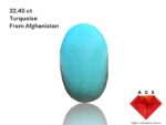 A Striking 22.45 ct Turquoise Gemstone – 27.87 × 11.40 × 8.40 mm