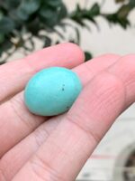The Elegance of a 31.20 ct Afghan Turquoise - Image 8