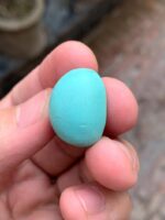 30.50-Carat Afghan Turquoise: A Majestic Gem of Color and Presence - Image 11