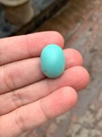 30.50-Carat Afghan Turquoise: A Majestic Gem of Color and Presence - Image 3