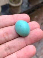 30.47-Carat Afghan Turquoise: A Gem of Grandeur and Character - Image 2