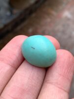 30.47-Carat Afghan Turquoise: A Gem of Grandeur and Character - Image 3
