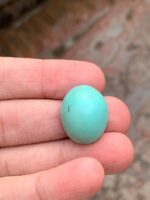 30.47-Carat Afghan Turquoise: A Gem of Grandeur and Character - Image 4