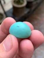 30.47-Carat Afghan Turquoise: A Gem of Grandeur and Character - Image 5