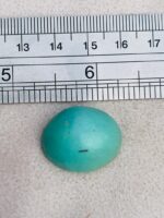 30.47-Carat Afghan Turquoise: A Gem of Grandeur and Character - Image 8