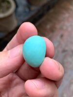 30.47-Carat Afghan Turquoise: A Gem of Grandeur and Character - Image 10