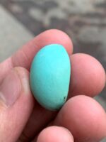 Impressive Afghan Turquoise: 30.37 ct of Natural Brilliance - Image 4