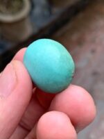 31.07-Carat Afghan Turquoise: A Monumental Gem from the Heart of the Mountains - Image 2