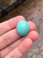 31.07-Carat Afghan Turquoise: A Monumental Gem from the Heart of the Mountains - Image 3