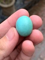 31.07-Carat Afghan Turquoise: A Monumental Gem from the Heart of the Mountains - Image 4