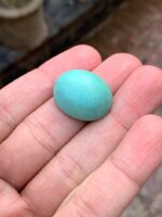 31.07-Carat Afghan Turquoise: A Monumental Gem from the Heart of the Mountains - Image 6