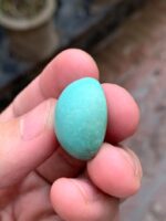 31.07-Carat Afghan Turquoise: A Monumental Gem from the Heart of the Mountains - Image 10