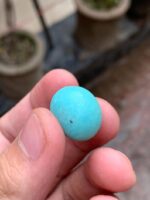 Afghan Turquoise in Focus: A 21.40 ct Gem of Timeless Beauty - Image 2
