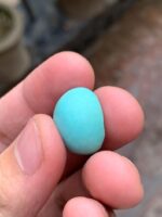 Afghan Turquoise in Focus: A 21.40 ct Gem of Timeless Beauty - Image 7