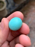 Afghan Turquoise in Focus: A 21.40 ct Gem of Timeless Beauty - Image 9