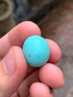 Afghan Turquoise in Focus: A 21.40 ct Gem of Timeless Beauty - Image 10
