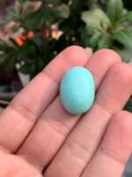 A Grand 26.85-Carat Afghan Turquoise: Where Size Meets Timeless Elegance - Image 5