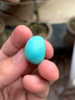 26.20-Carat Afghan Turquoise: A Bold Gem of Elegance and Heritage - Image 10