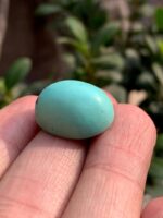 25.94-Carat Afghan Turquoise: A Bold Gem Born From Ancient Mountains - Image 2