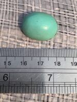 25.94-Carat Afghan Turquoise: A Bold Gem Born From Ancient Mountains - Image 8