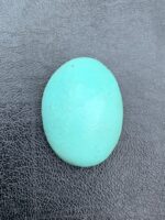 The Timeless Beauty of a 35.70 ct Afghan Turquoise - Image 2