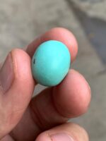 15.30 ct Afghan Turquoise Cabochon – Depth, Dimension, and Natural Beauty - Image 11
