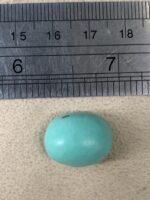 15.30 ct Afghan Turquoise Cabochon – Depth, Dimension, and Natural Beauty - Image 12