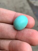 15.30 ct Afghan Turquoise Cabochon – Depth, Dimension, and Natural Beauty - Image 6