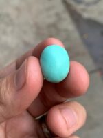 15.30 ct Afghan Turquoise Cabochon – Depth, Dimension, and Natural Beauty - Image 7