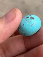 The Allure of Afghan Turquoise: A 22.60 Ct Cabochon Gem - Image 3