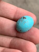 The Allure of Afghan Turquoise: A 22.60 Ct Cabochon Gem - Image 5
