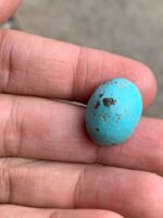 The Allure of Afghan Turquoise: A 22.60 Ct Cabochon Gem - Image 7