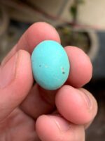 16.05 Carat Afghan Turquoise Cabochon: Natural Feroza Gemstone - Image 11